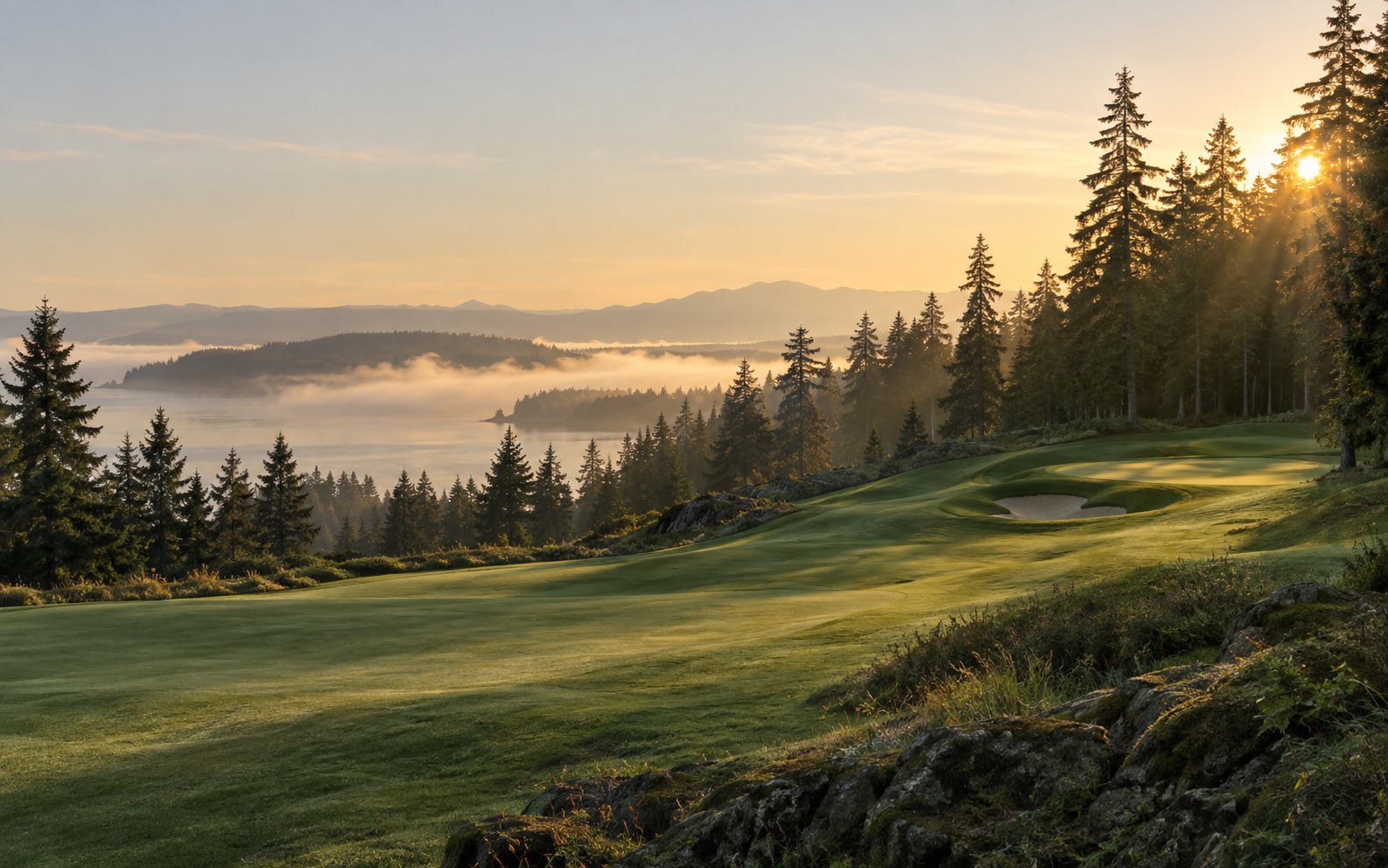 Golf course in warm evening light